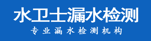 普兰店区暗管漏水检测